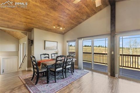 Tiny photo for 19 Worley Road, Divide, CO 80814 (MLS # 5104522)