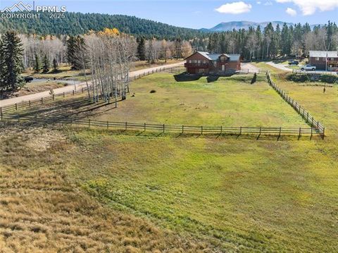 Tiny photo for 19 Worley Road, Divide, CO 80814 (MLS # 5104522)