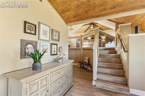 Tiny photo for 19 Worley Road, Divide, CO 80814 (MLS # 5104522)