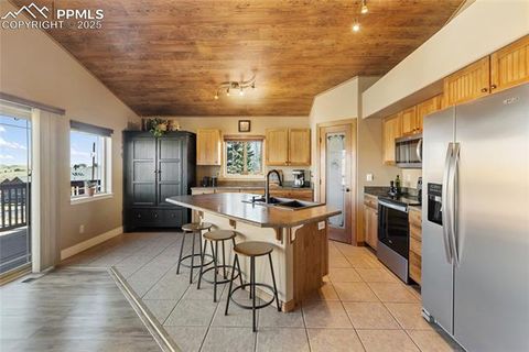 Tiny photo for 19 Worley Road, Divide, CO 80814 (MLS # 5104522)