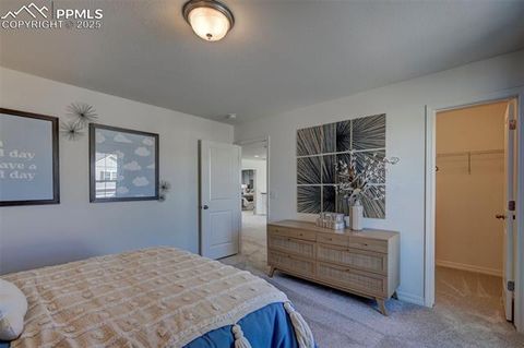 Tiny photo for 5133 Devers Court, Colorado Springs, CO 80925 (MLS # 9521864)