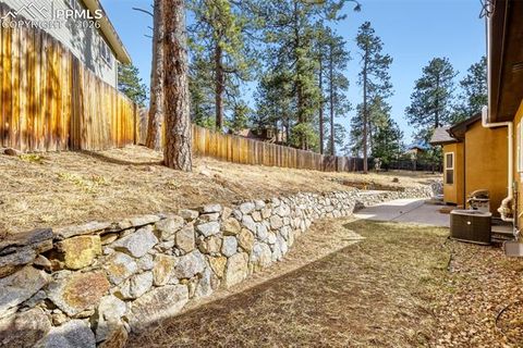 Tiny photo for 4519 Edwards Place, Cascade, CO 80809 (MLS # 3801071)