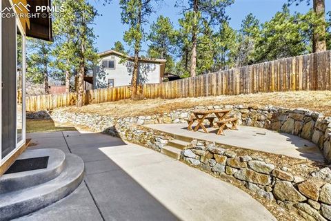 Tiny photo for 4519 Edwards Place, Cascade, CO 80809 (MLS # 3801071)