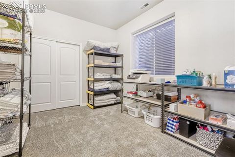 Tiny photo for 4519 Edwards Place, Cascade, CO 80809 (MLS # 3801071)