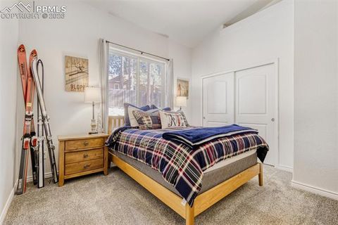 Tiny photo for 4519 Edwards Place, Cascade, CO 80809 (MLS # 3801071)