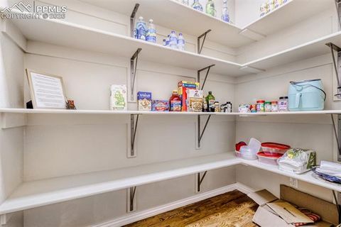 Tiny photo for 4519 Edwards Place, Cascade, CO 80809 (MLS # 3801071)