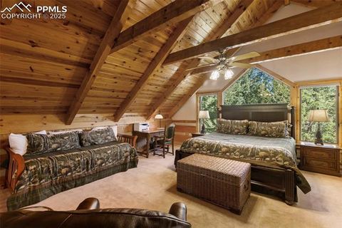 Tiny photo for 206 Pinto Drive, Woodland Park, CO 80863 (MLS # 7929478)