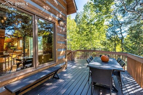 Tiny photo for 206 Pinto Drive, Woodland Park, CO 80863 (MLS # 7929478)