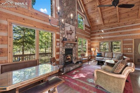 Tiny photo for 206 Pinto Drive, Woodland Park, CO 80863 (MLS # 7929478)