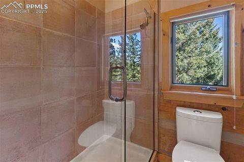 Tiny photo for 206 Pinto Drive, Woodland Park, CO 80863 (MLS # 7929478)