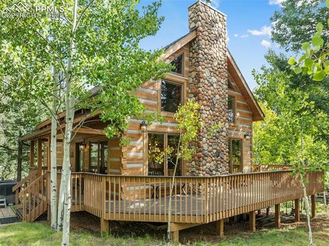 Photo of 206 Pinto Drive, Woodland Park, CO 80863 (MLS # 7929478)