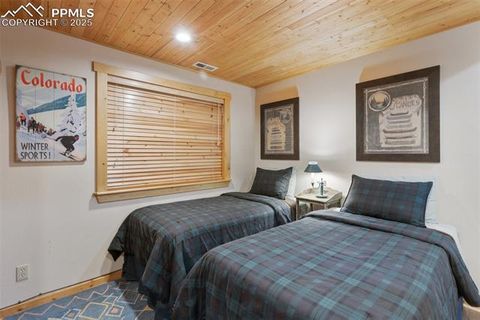 Tiny photo for 206 Pinto Drive, Woodland Park, CO 80863 (MLS # 7929478)