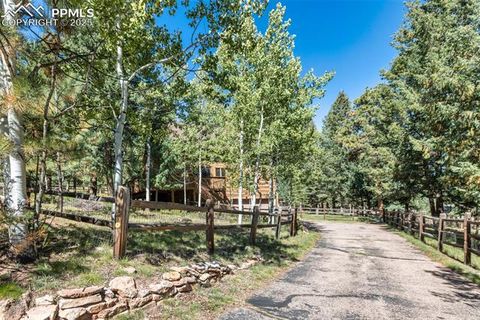 Tiny photo for 206 Pinto Drive, Woodland Park, CO 80863 (MLS # 7929478)