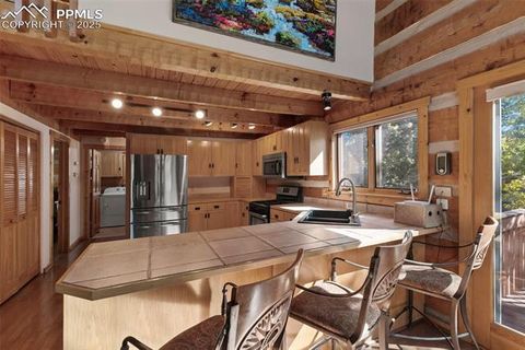 Tiny photo for 206 Pinto Drive, Woodland Park, CO 80863 (MLS # 7929478)