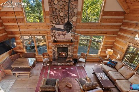 Tiny photo for 206 Pinto Drive, Woodland Park, CO 80863 (MLS # 7929478)