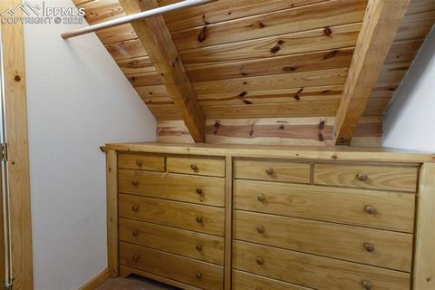 Tiny photo for 206 Pinto Drive, Woodland Park, CO 80863 (MLS # 7929478)