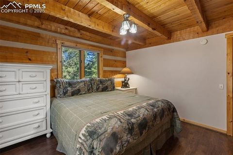 Tiny photo for 206 Pinto Drive, Woodland Park, CO 80863 (MLS # 7929478)