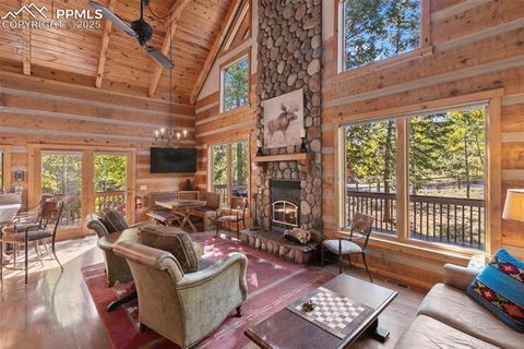 Tiny photo for 206 Pinto Drive, Woodland Park, CO 80863 (MLS # 7929478)