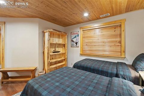 Tiny photo for 206 Pinto Drive, Woodland Park, CO 80863 (MLS # 7929478)