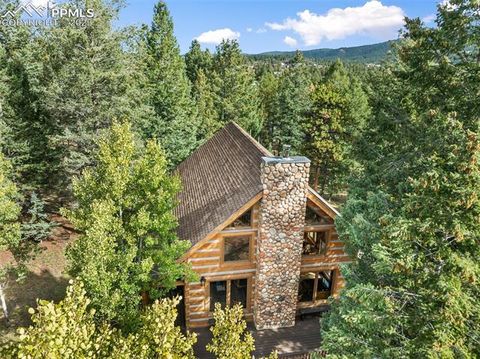 Tiny photo for 206 Pinto Drive, Woodland Park, CO 80863 (MLS # 7929478)