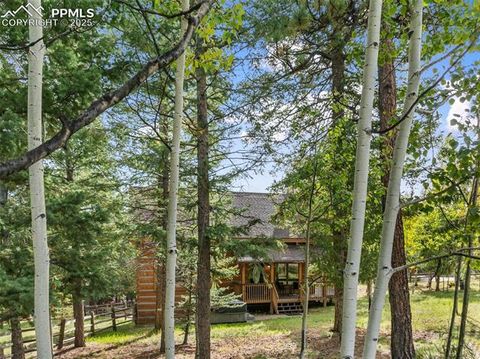 Tiny photo for 206 Pinto Drive, Woodland Park, CO 80863 (MLS # 7929478)