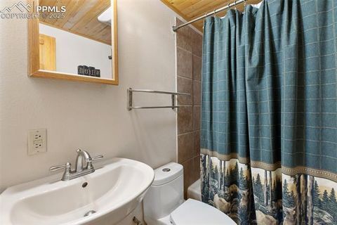 Tiny photo for 206 Pinto Drive, Woodland Park, CO 80863 (MLS # 7929478)