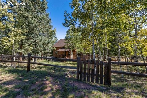 Tiny photo for 206 Pinto Drive, Woodland Park, CO 80863 (MLS # 7929478)