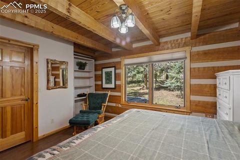 Tiny photo for 206 Pinto Drive, Woodland Park, CO 80863 (MLS # 7929478)
