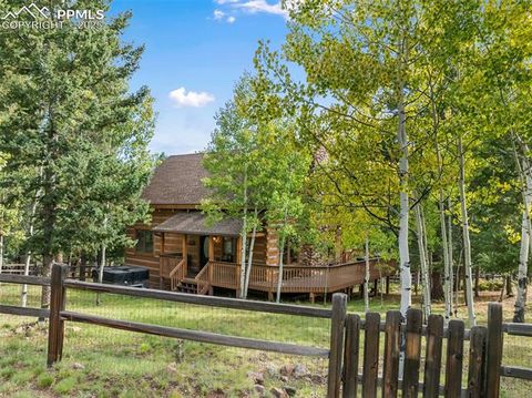 Tiny photo for 206 Pinto Drive, Woodland Park, CO 80863 (MLS # 7929478)
