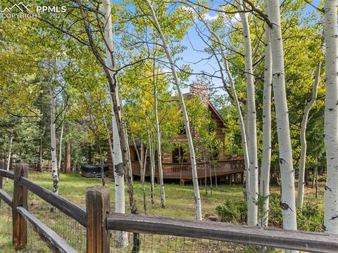 Tiny photo for 206 Pinto Drive, Woodland Park, CO 80863 (MLS # 7929478)
