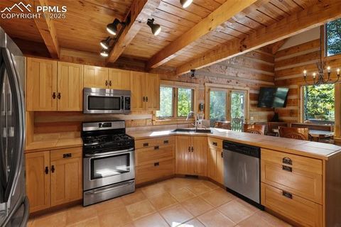Tiny photo for 206 Pinto Drive, Woodland Park, CO 80863 (MLS # 7929478)