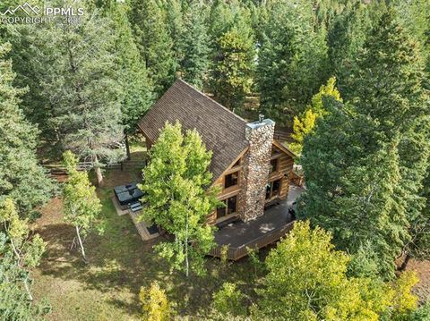 Tiny photo for 206 Pinto Drive, Woodland Park, CO 80863 (MLS # 7929478)