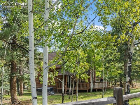 Tiny photo for 206 Pinto Drive, Woodland Park, CO 80863 (MLS # 7929478)