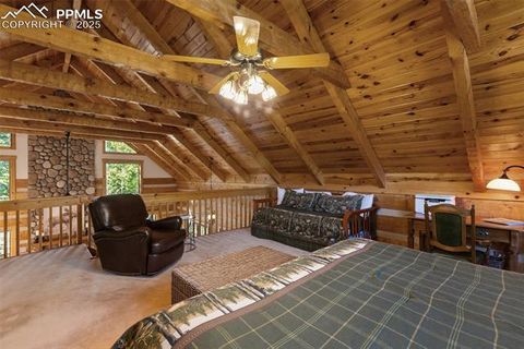 Tiny photo for 206 Pinto Drive, Woodland Park, CO 80863 (MLS # 7929478)