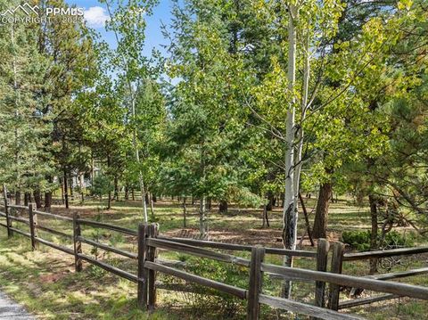 Tiny photo for 206 Pinto Drive, Woodland Park, CO 80863 (MLS # 7929478)