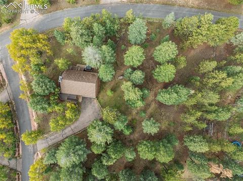Tiny photo for 206 Pinto Drive, Woodland Park, CO 80863 (MLS # 7929478)
