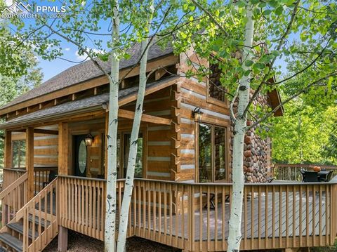 Tiny photo for 206 Pinto Drive, Woodland Park, CO 80863 (MLS # 7929478)