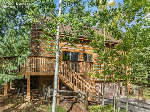 Tiny photo for 206 Pinto Drive, Woodland Park, CO 80863 (MLS # 7929478)