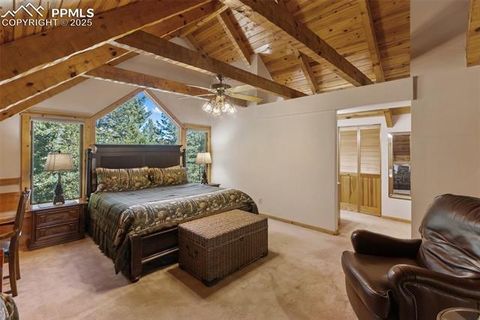 Tiny photo for 206 Pinto Drive, Woodland Park, CO 80863 (MLS # 7929478)