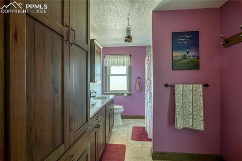 Tiny photo for 6729 County Road DD.5, La Jara, CO 81140 (MLS # 1224000)