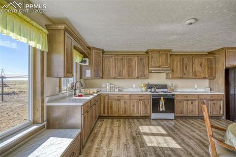 Tiny photo for 6729 County Road DD.5, La Jara, CO 81140 (MLS # 1224000)