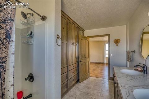 Tiny photo for 6729 County Road DD.5, La Jara, CO 81140 (MLS # 1224000)