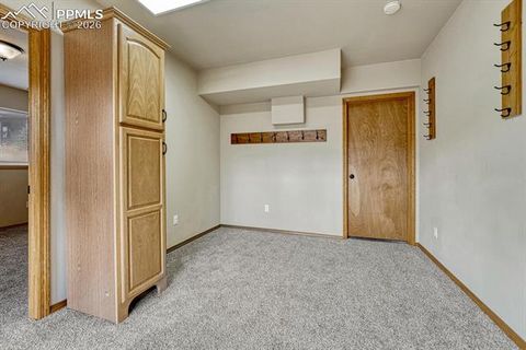 Tiny photo for 131 Golden Court, Woodland Park, CO 80863 (MLS # 4398959)