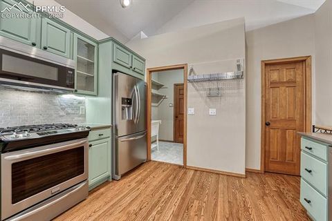 Tiny photo for 131 Golden Court, Woodland Park, CO 80863 (MLS # 4398959)