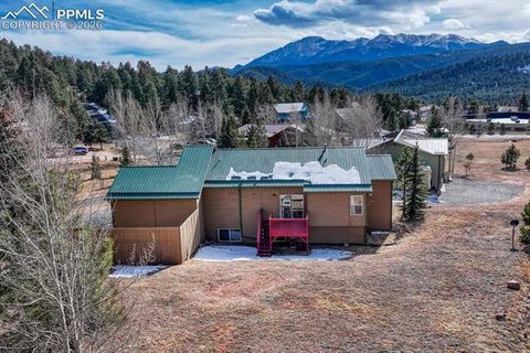 Tiny photo for 131 Golden Court, Woodland Park, CO 80863 (MLS # 4398959)