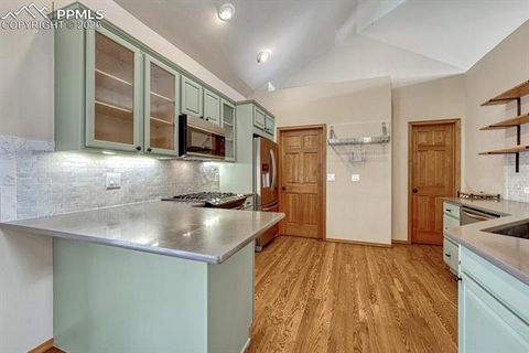 Tiny photo for 131 Golden Court, Woodland Park, CO 80863 (MLS # 4398959)