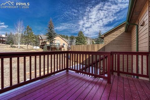 Tiny photo for 131 Golden Court, Woodland Park, CO 80863 (MLS # 4398959)