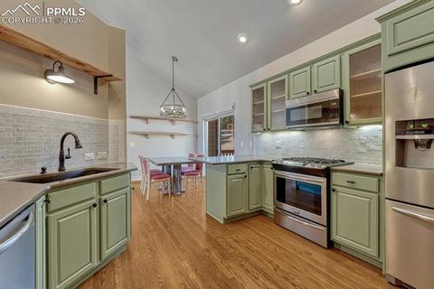 Tiny photo for 131 Golden Court, Woodland Park, CO 80863 (MLS # 4398959)