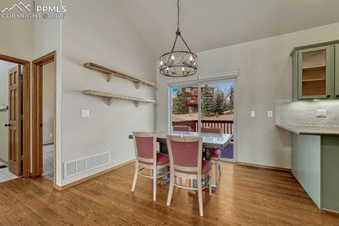 Tiny photo for 131 Golden Court, Woodland Park, CO 80863 (MLS # 4398959)