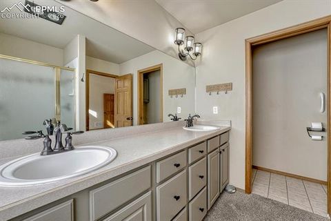 Tiny photo for 131 Golden Court, Woodland Park, CO 80863 (MLS # 4398959)